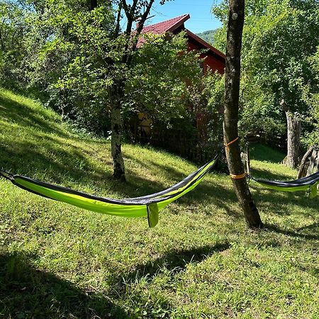 Casa Lupilor Transfagarasan Villa Căpăţîneni-Ungureni Exteriör bild