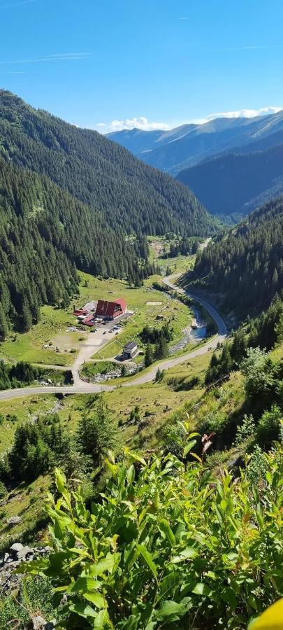 Casa Lupilor Transfagarasan Villa Căpăţîneni-Ungureni Exteriör bild