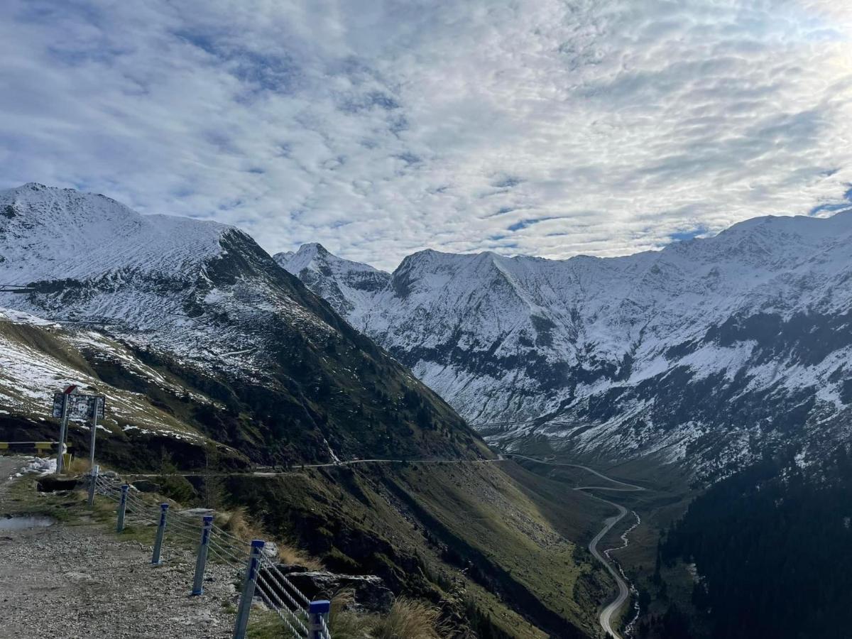 Casa Lupilor Transfagarasan Villa Căpăţîneni-Ungureni Exteriör bild