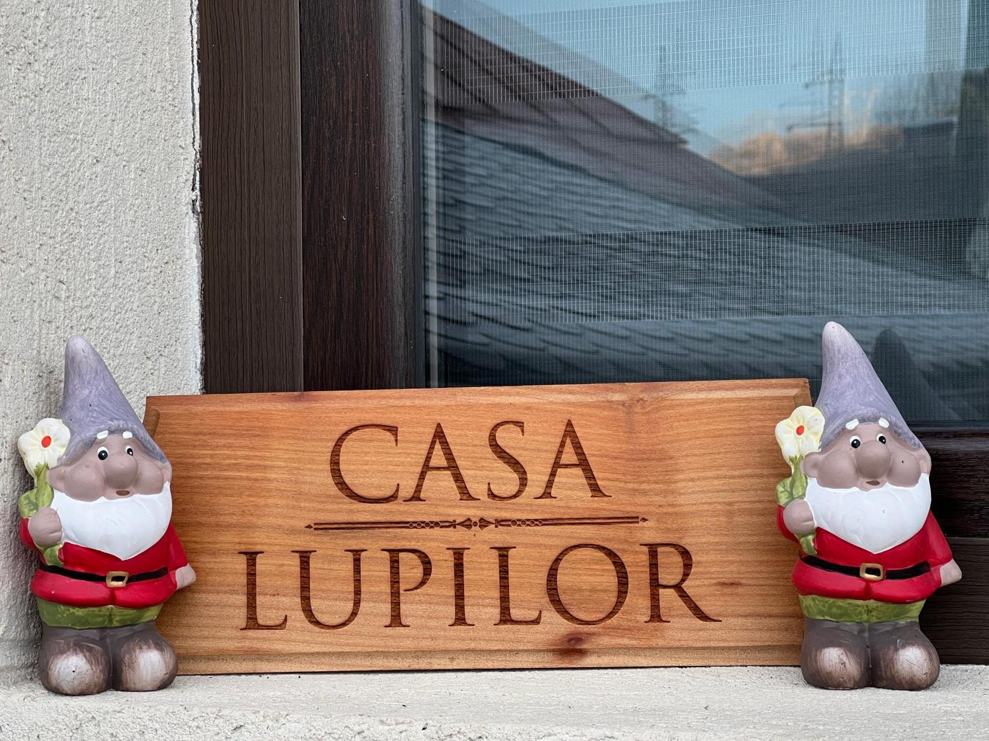 Casa Lupilor Transfagarasan Villa Căpăţîneni-Ungureni Exteriör bild