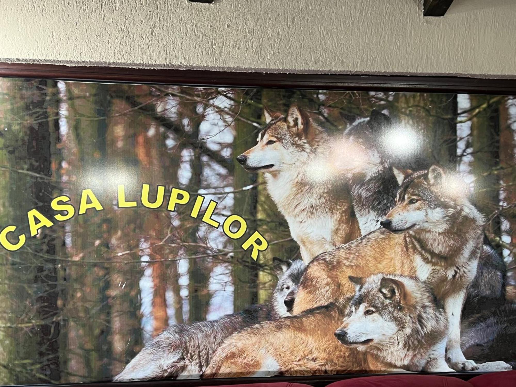 Casa Lupilor Transfagarasan Villa Căpăţîneni-Ungureni Exteriör bild