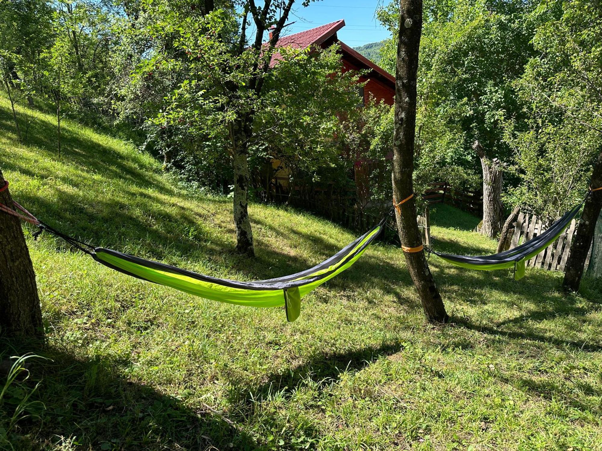 Casa Lupilor Transfagarasan Villa Căpăţîneni-Ungureni Exteriör bild